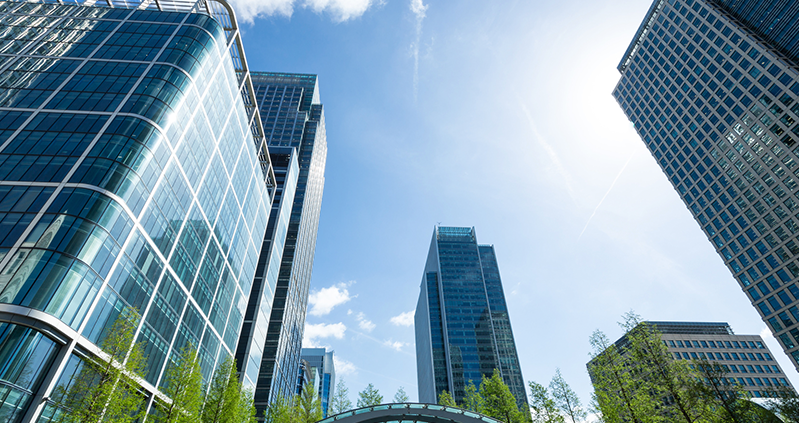 No tenemos límites.